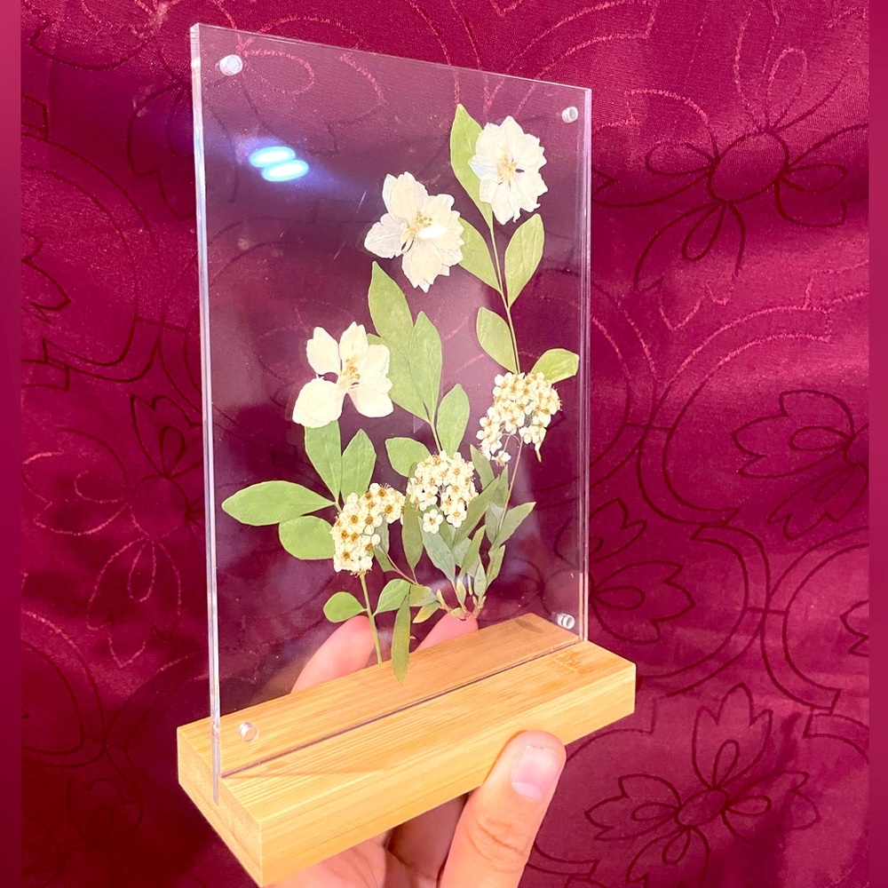 Nwt handmade real preserved flower display with stand